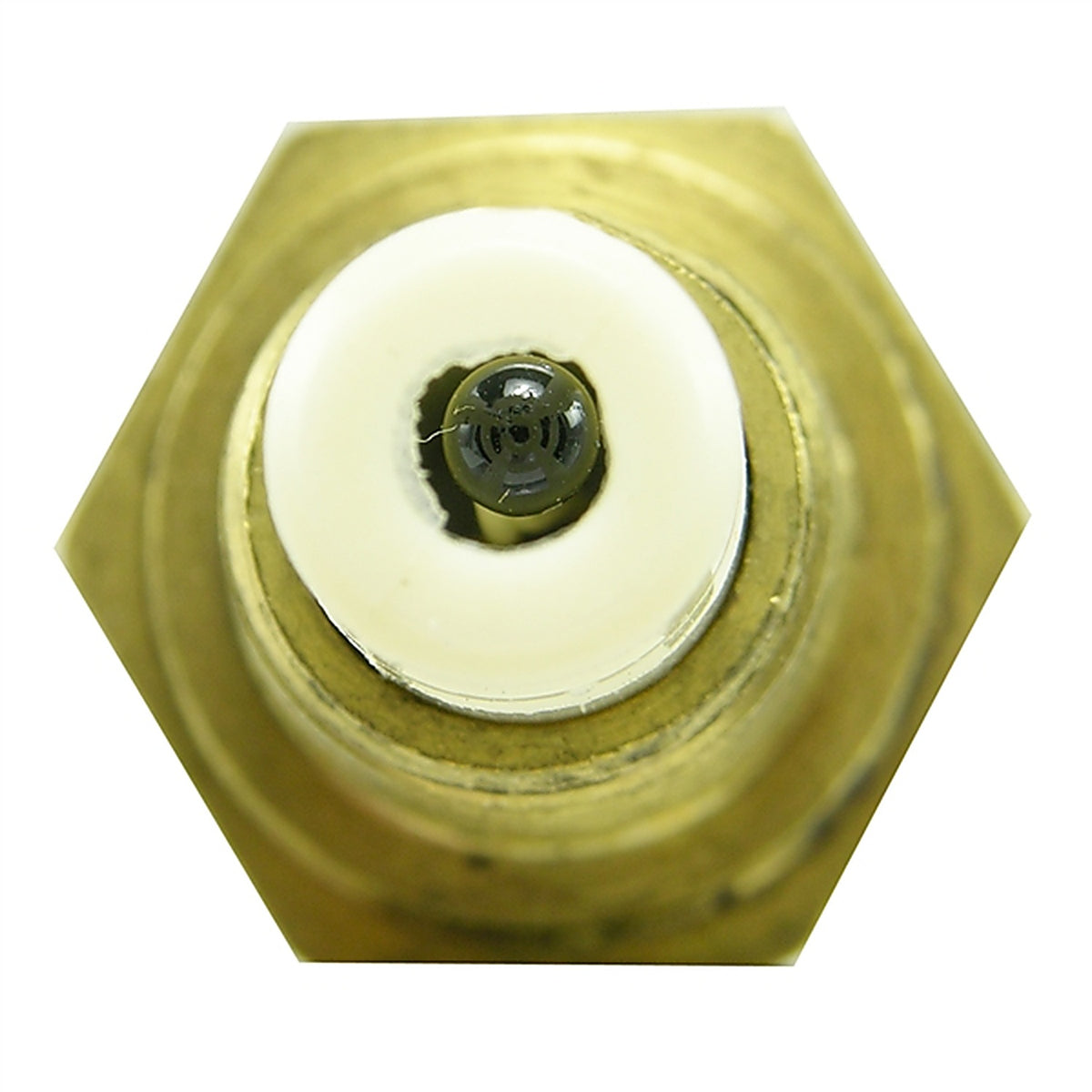 Wells - 5S1025 - Air Charge Temperature Sensor