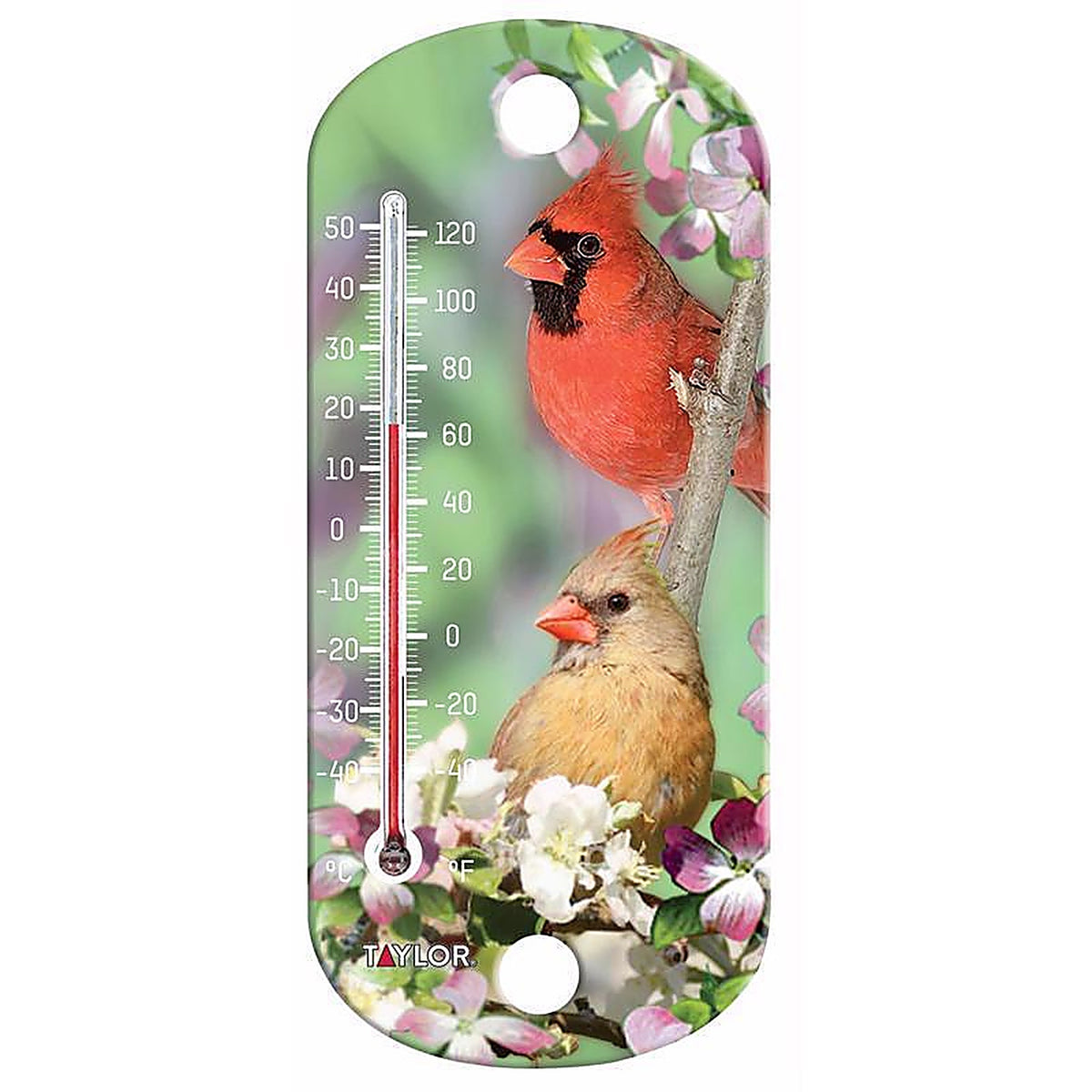 Taylor - 5204 - Bird Design Tube Thermometer Plastic