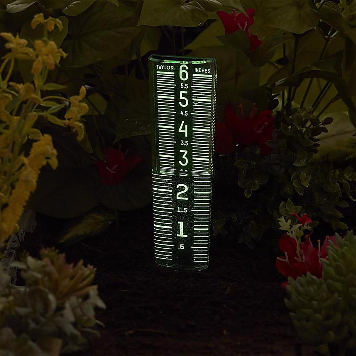 Taylor - 5288423 - ClearVu Glow in the Dark Rain Gauge/Sprinkler Ground 1.18 in. W X 2.76 in. L