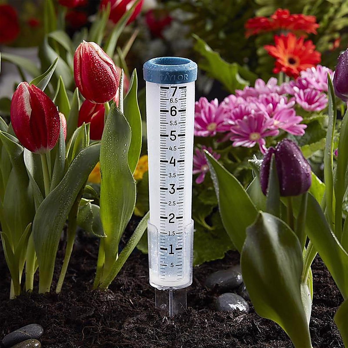 Taylor - 5293501 - Rain Gauge Stake 2 in. W X 12 in. L