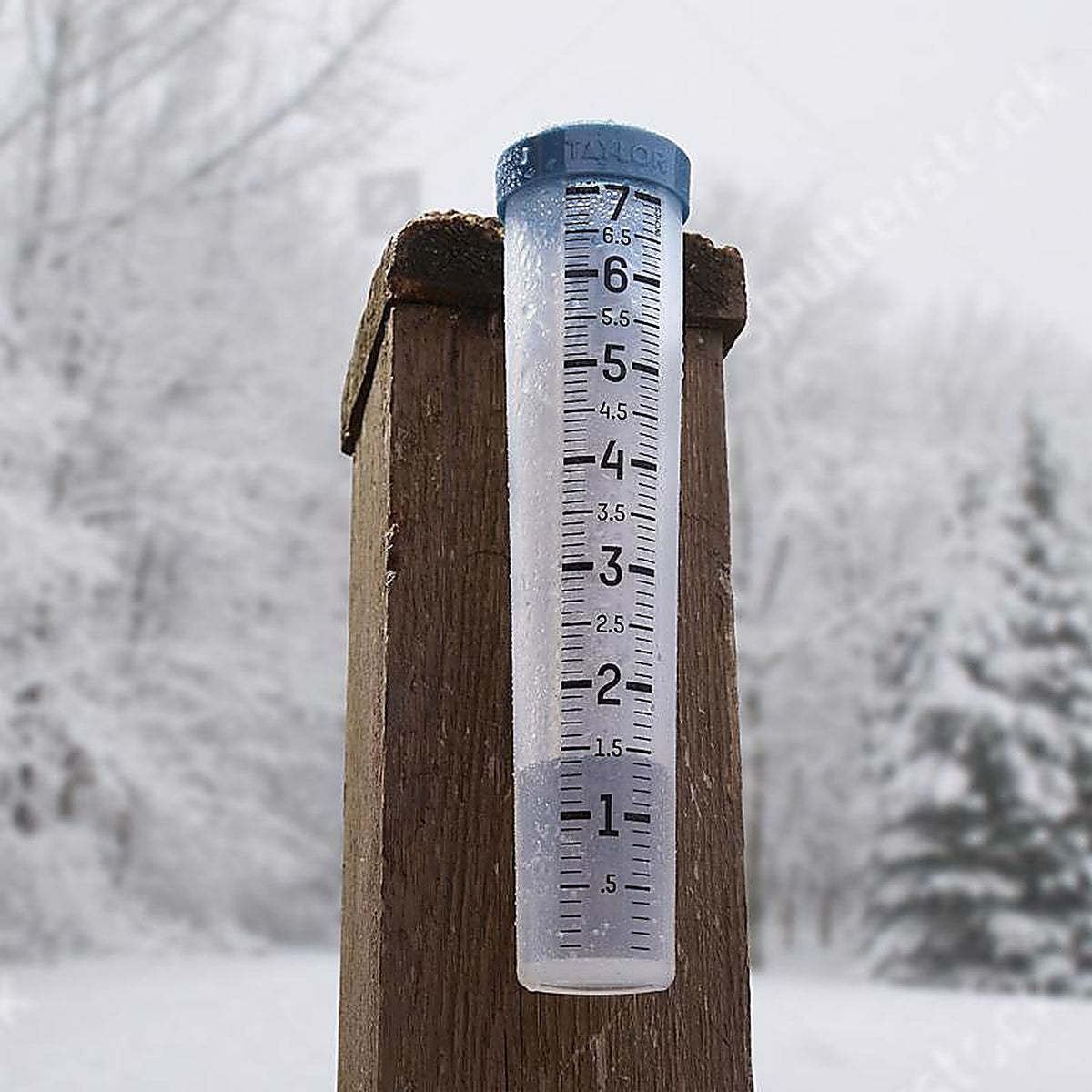 Taylor - 5293501 - Rain Gauge Stake 2 in. W X 12 in. L