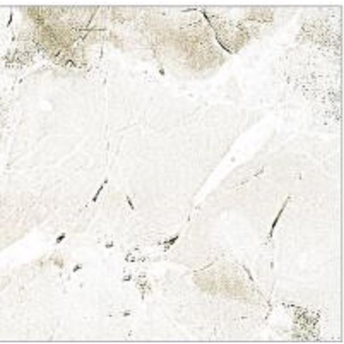Con-Tact - 03-771-12 - 9 ft. L X 18 in. W Marble Coffee Self-Adhesive Shelf Liner