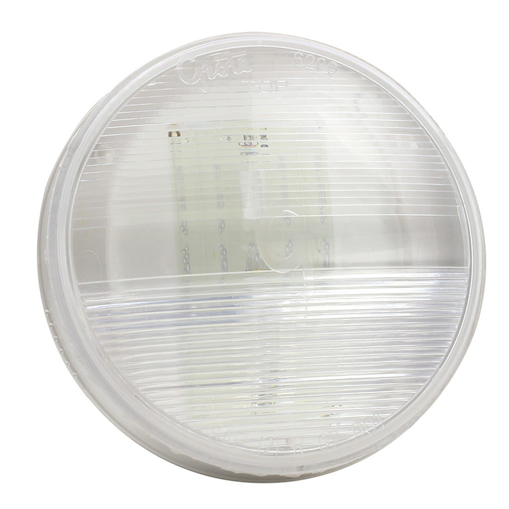 Grote - 62691 - Back-Up Lamp, 4 in , Single LED, Female Pin