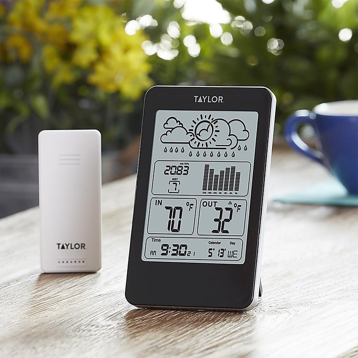 Taylor - 1733 - Weather Station