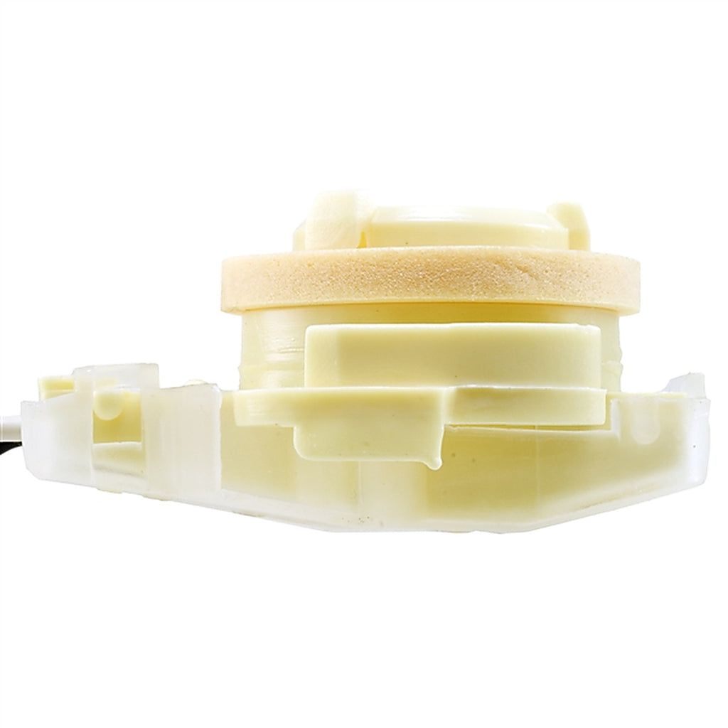 Wells - 6S1069 - Back Up Light Socket