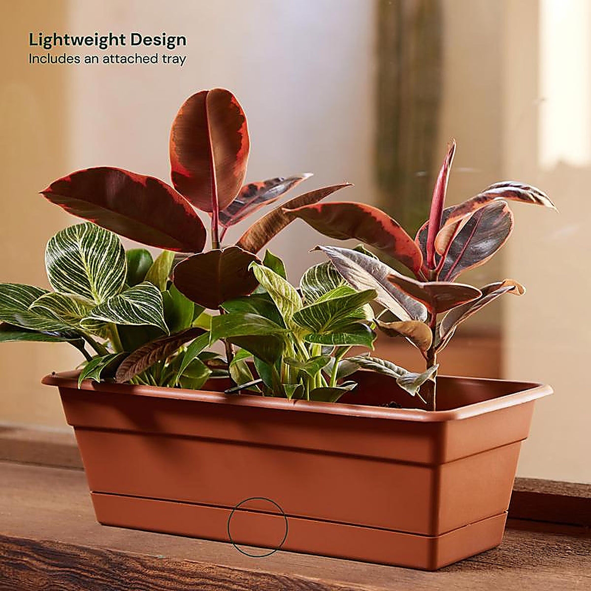 Bloem - DCBT18-46 - 5.75 in. H x 18 in. W x 7.5 in. D Plastic Window Box Terracotta
