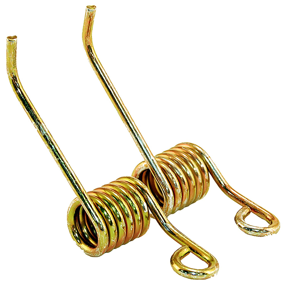Arnold - RS-12 - Power Rake Springs 2 pk