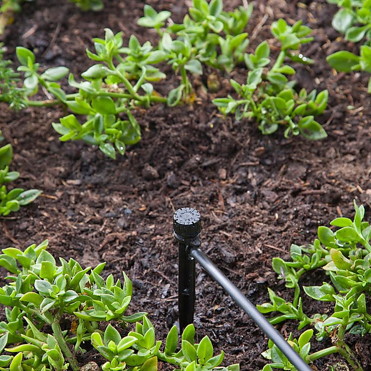Raindrip - 155005B - Half-Circle Drip Irrigation Bubbler 20 gph