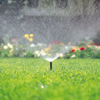 Toro - 54821 - 570 Series 4 in. H Adjustable Pop-Up Spray Head W/Flush Plug