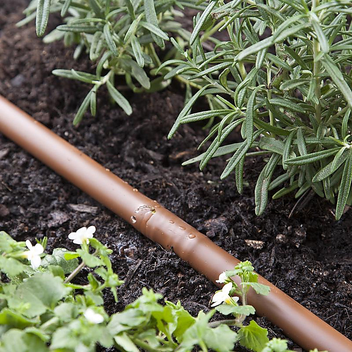 Raindrip - R290DP - Drip-A-Long Drip Irrigation Plant Watering Kit