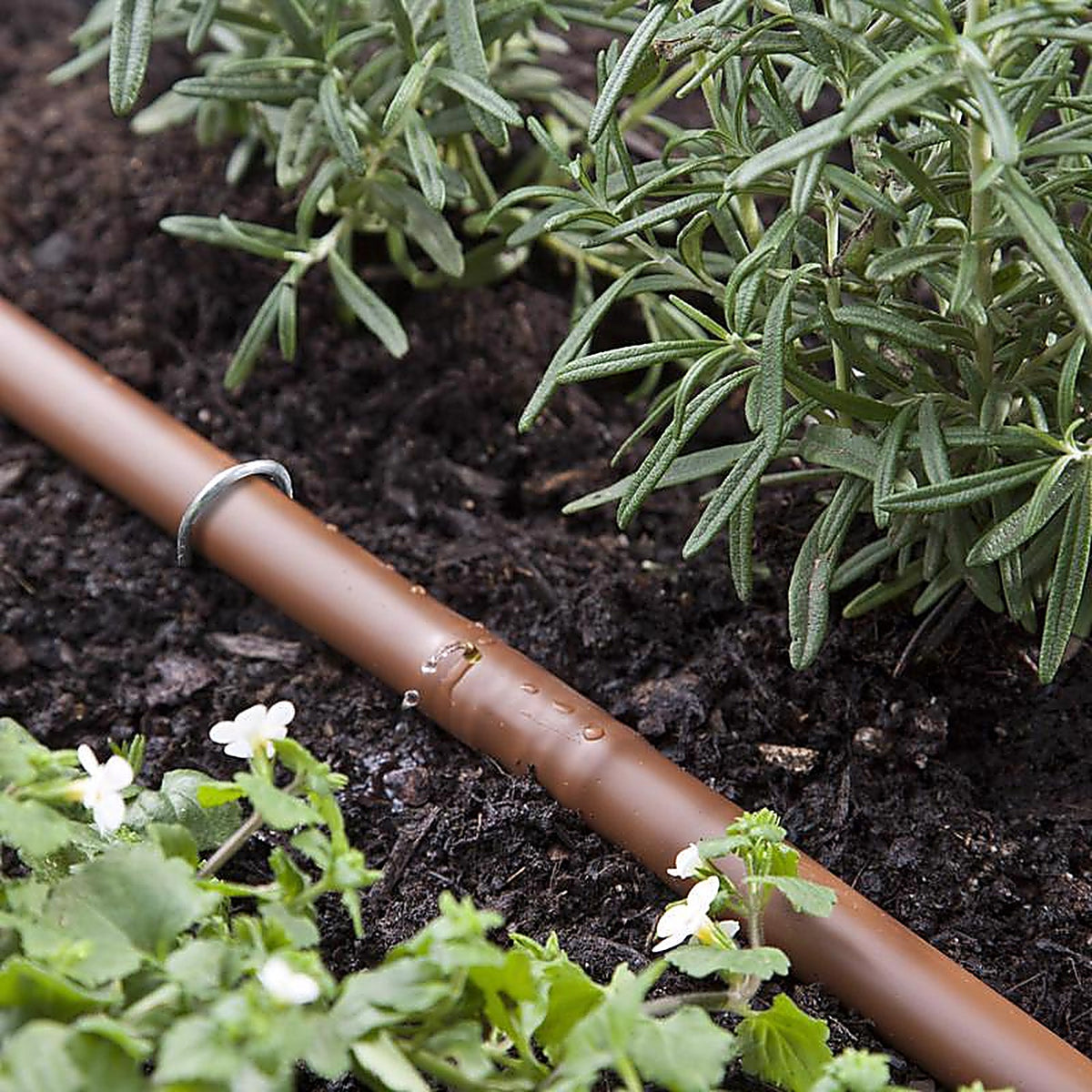 Raindrip - R567DT - Drip Irrigation Garden Kit