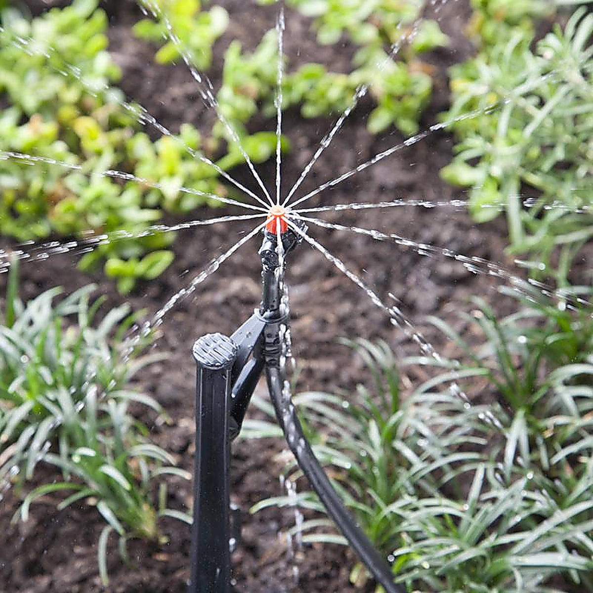Raindrip - R180CT - Full-Circle Drip Irrigation Micro Spray 20 gph