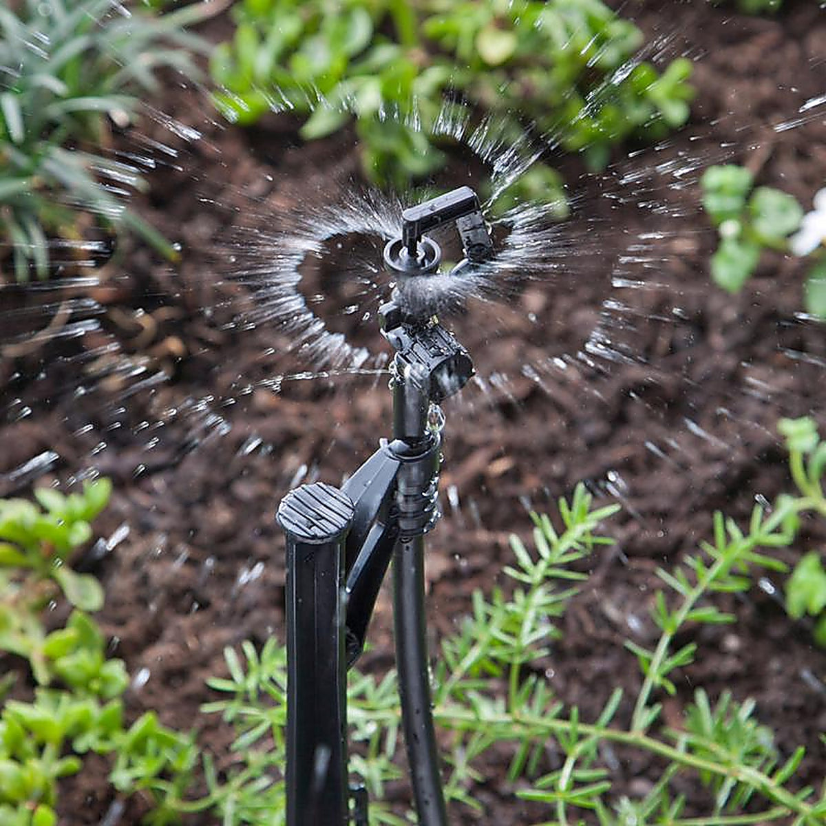 Raindrip - R184CT - Full-Circle Drip Irrigation Micro Spray 20 gph