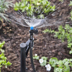 Raindrip - R187CT - Half-Circle Drip Irrigation Micro Spray 20 gph