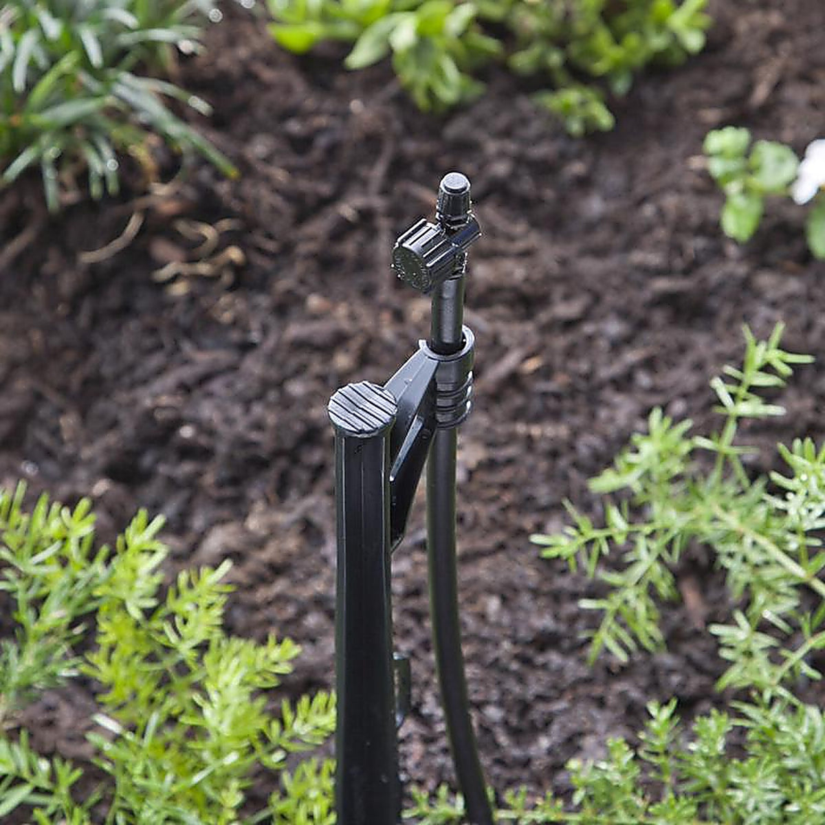Raindrip - R191CT - Quarter-Circle Drip Irrigation Micro Spray 20 gph