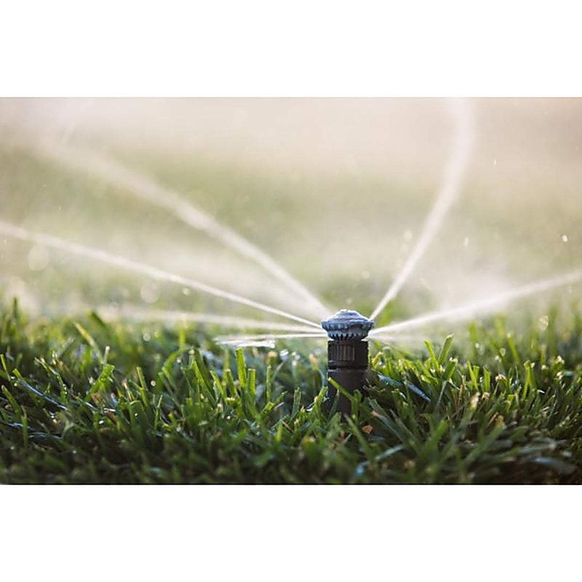 Rain Bird - 14RNFPRO - Plastic 14 ft. Full-Circle Rotary Nozzle