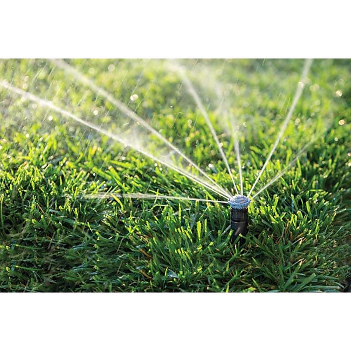 Rain Bird - 14RNFPRO - Plastic 14 ft. Full-Circle Rotary Nozzle