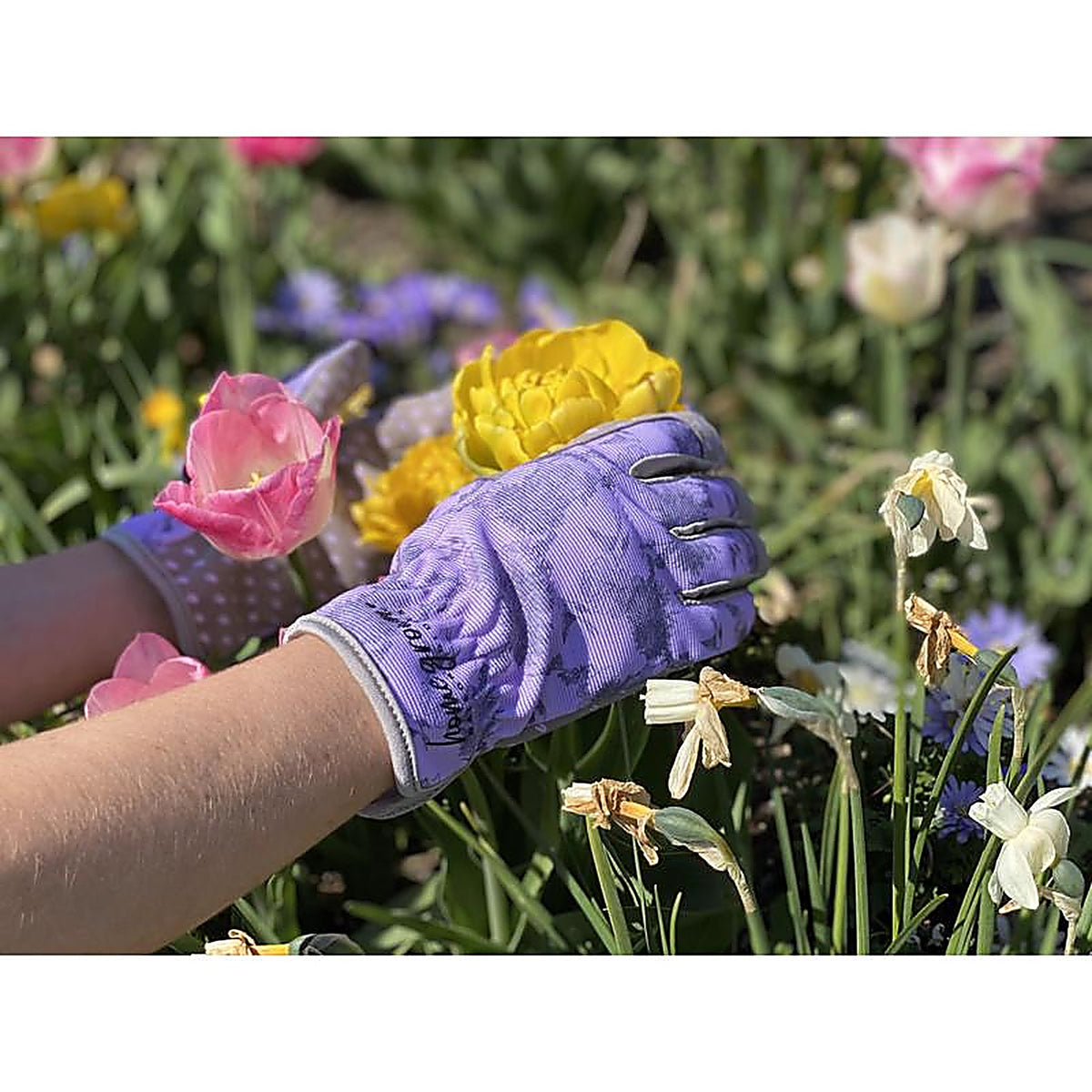 Watson Gloves - 204-L - Home Grown L Spandex Sparrow Purple/Grey Gardening Gloves