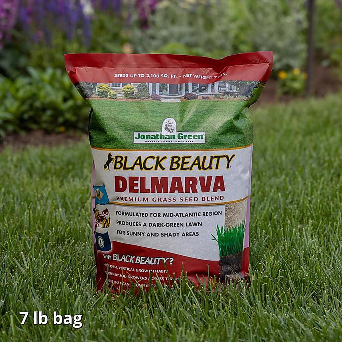 Jonathan Green - 10391 - Black Beauty Delmarva Mixed Sun or Shade Grass Seed 7 lb