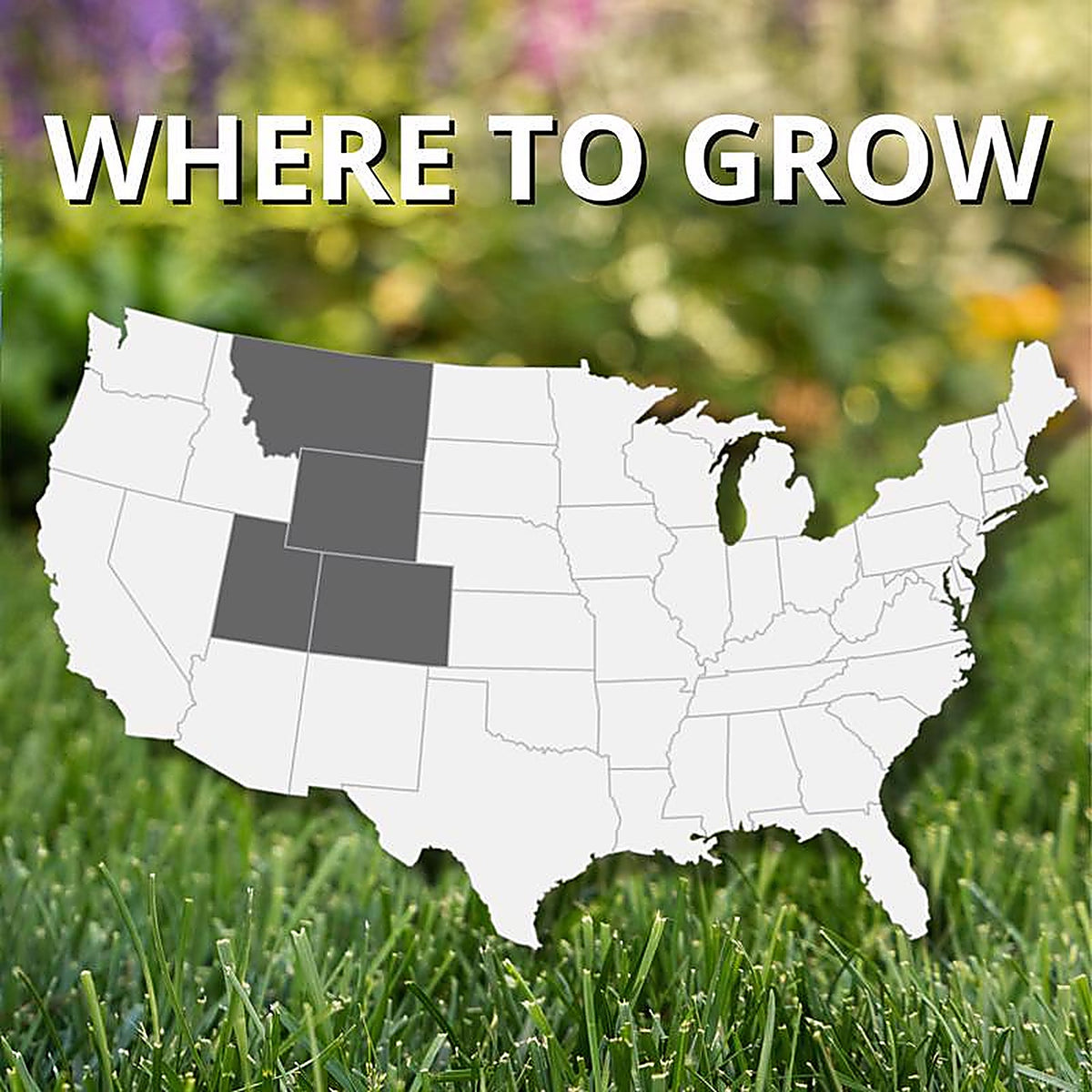 Jonathan Green - 10383 - Black Beauty Rocky Mountain Mixed Sun or Shade Grass Seed 7 lb
