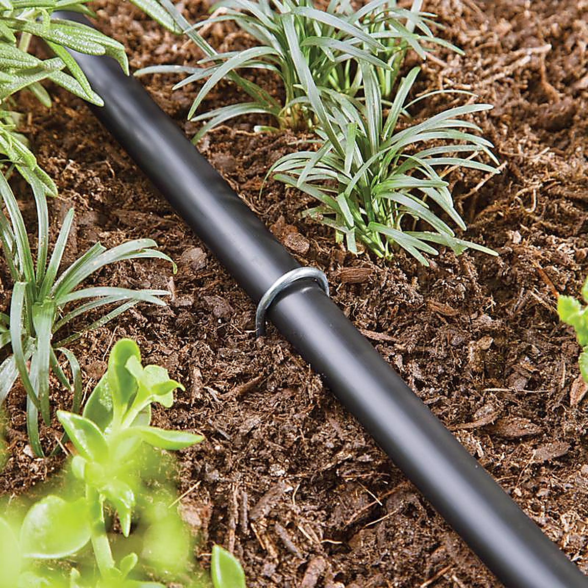 Raindrip - 397015B - Drip Irrigation Tubing Stake 8 in. L - 15/Pack