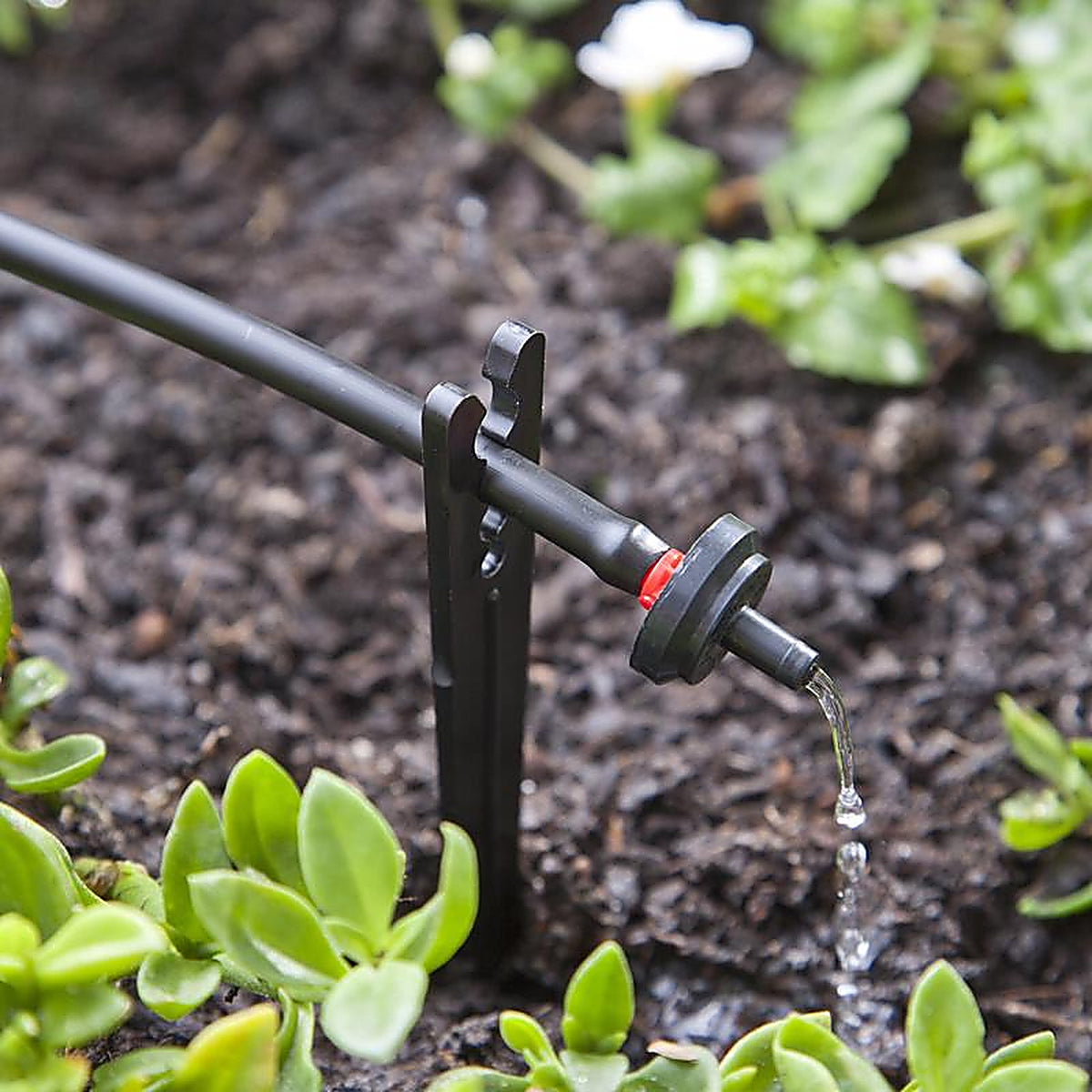 Raindrip - PC2025B - Spot Drip Irrigation Dripper 0.5 gph