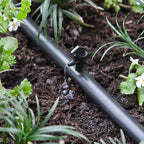 Raindrip - 121025B - Spot Drip Irrigation Dripper 1 gph