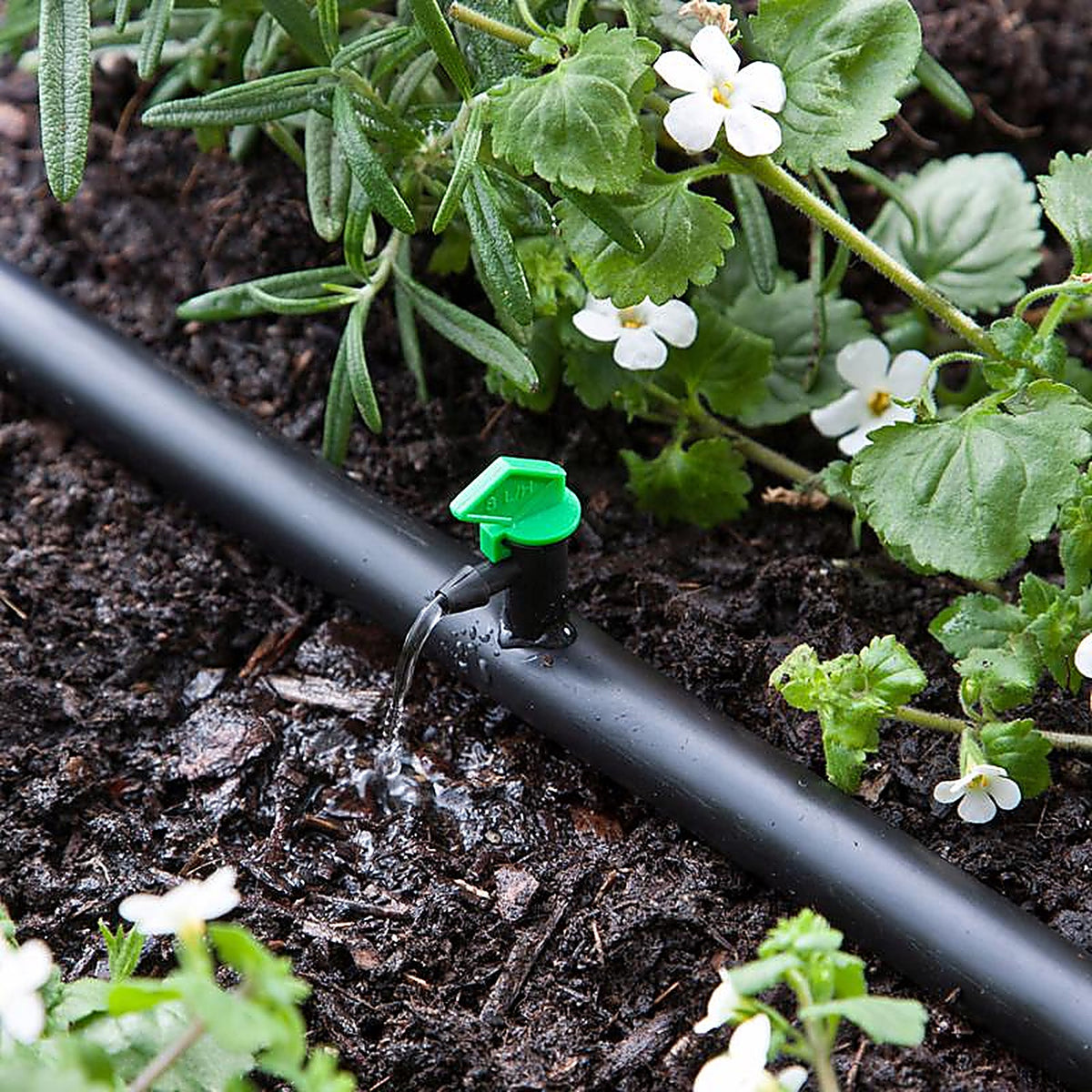 Raindrip - 122025B - Spot Drip Irrigation Dripper 2 gph