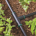 Raindrip - 347G00UB - Compression 1/2 in. Drip Irrigation Tee - 1/Pack