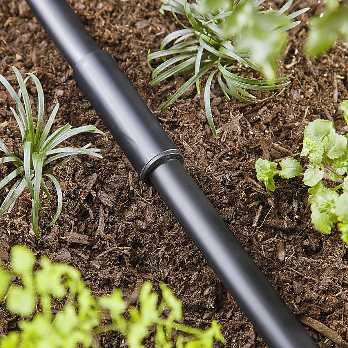 Raindrip - 345G00UB - Compression 5/8 in. Drip Irrigation Coupler - 1/Pack