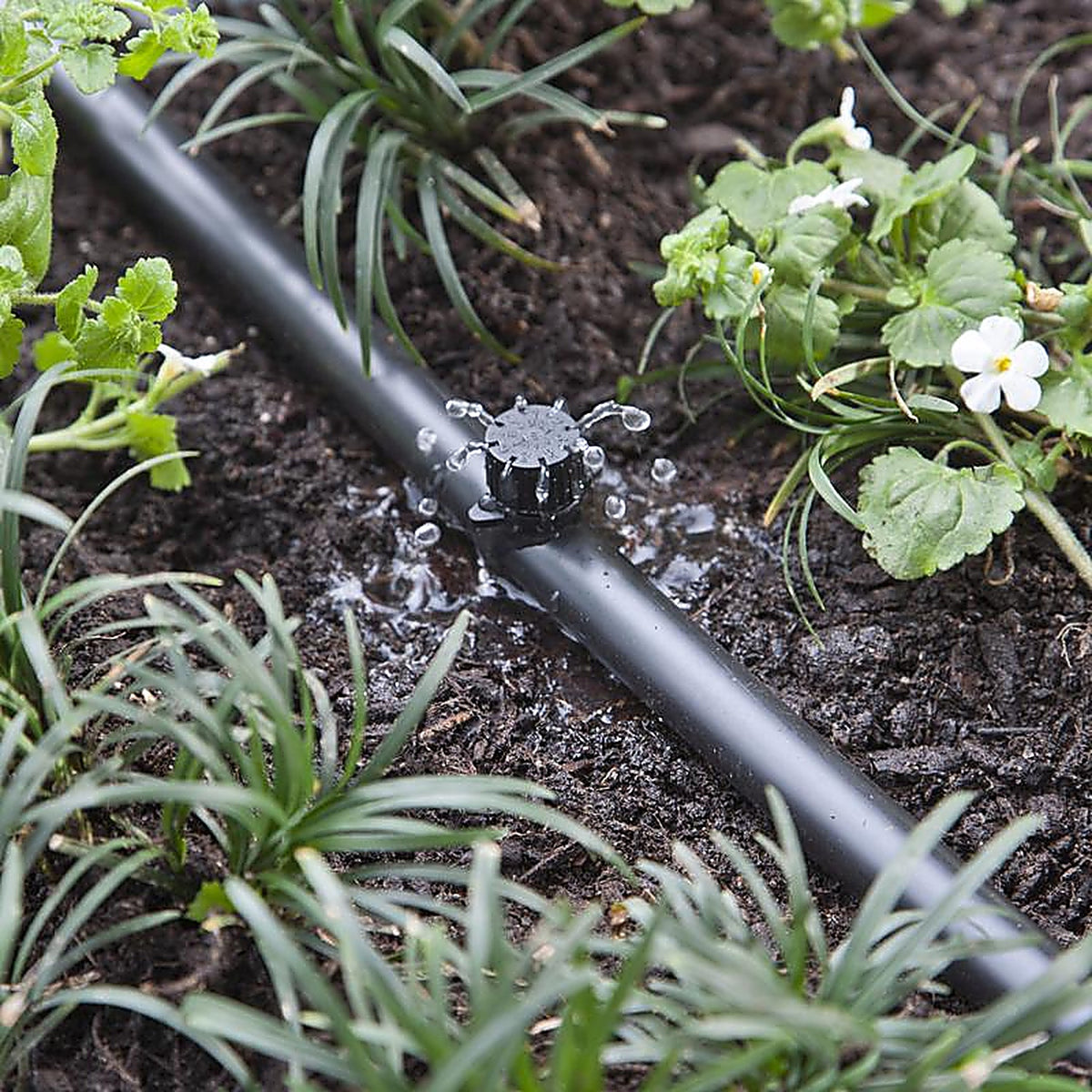 Raindrip - 157050B - Full-Circle Drip Irrigation Bubbler 13 gph