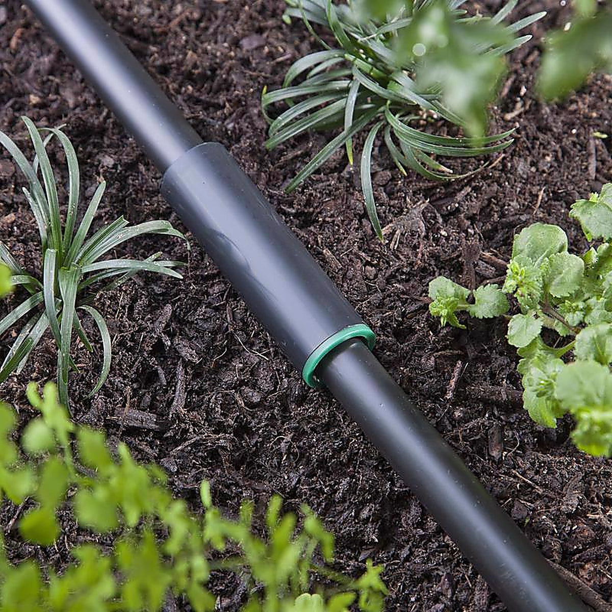 Raindrip - R341CT - 1/2 in. Drip Irrigation Coupler - 1/Pack