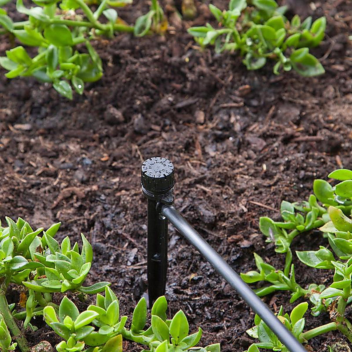 Raindrip - 156005B - Full-Circle Drip Irrigation Bubbler 13 gph