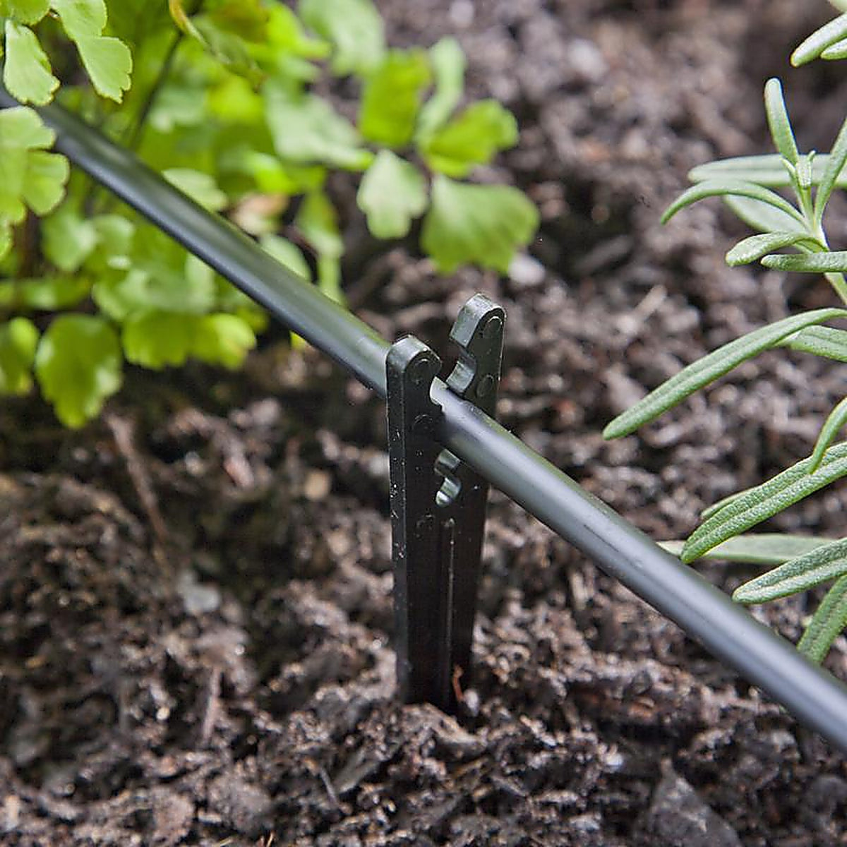 Raindrip - 381025B - Drip Irrigation Tubing Stake 0.25 in. W x 6 in. L - 25/Pack
