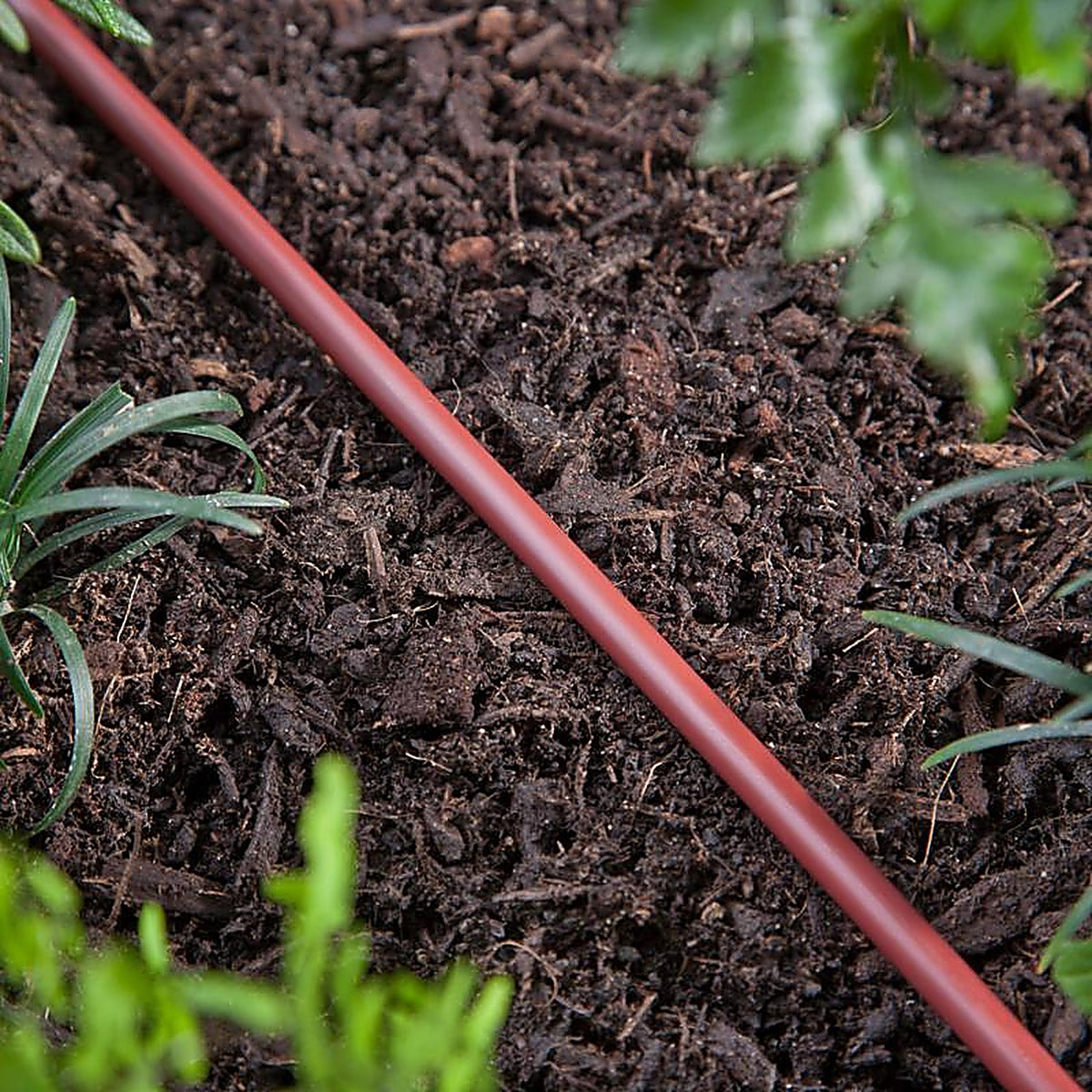 Raindrip - R251DT - Polyethylene Drip Irrigation Tubing 1/4 in. Dia. x 50 ft. L