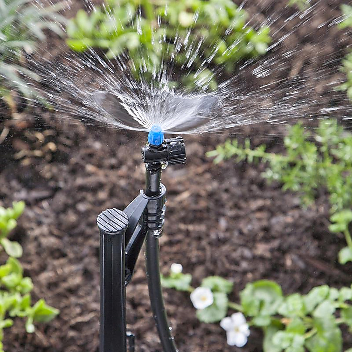 Raindrip - A187010B - Half-Circle Drip Irrigation Micro Spray 20 gph