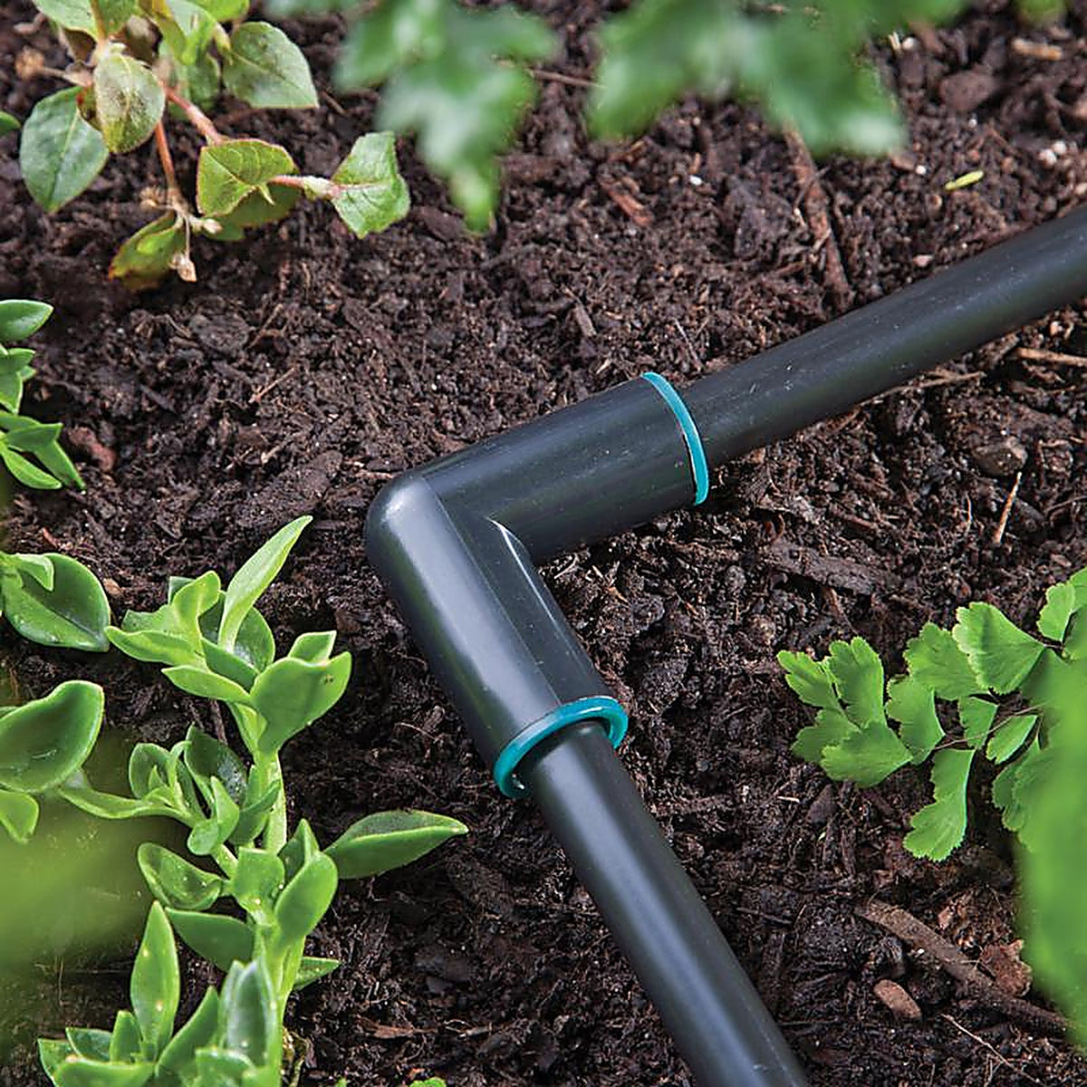 Raindrip - 369G00UB - Compression 3/4 in. Drip Irrigation Elbow - 1/Pack