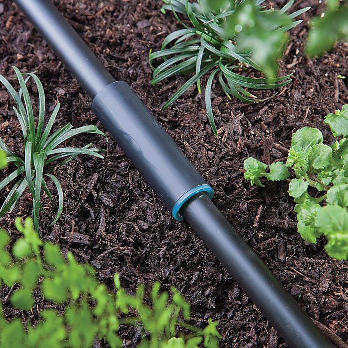 Raindrip - 360G00UB - Compression .710 in. Drip Irrigation Coupler - 1/Pack