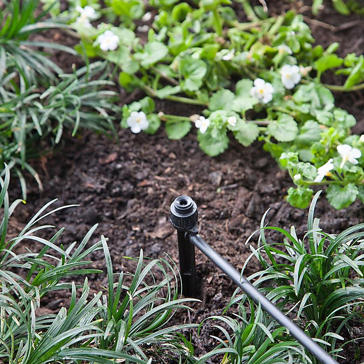 Raindrip - 15300UB - Full-Circle Drip Irrigation Bubbler 24 gph