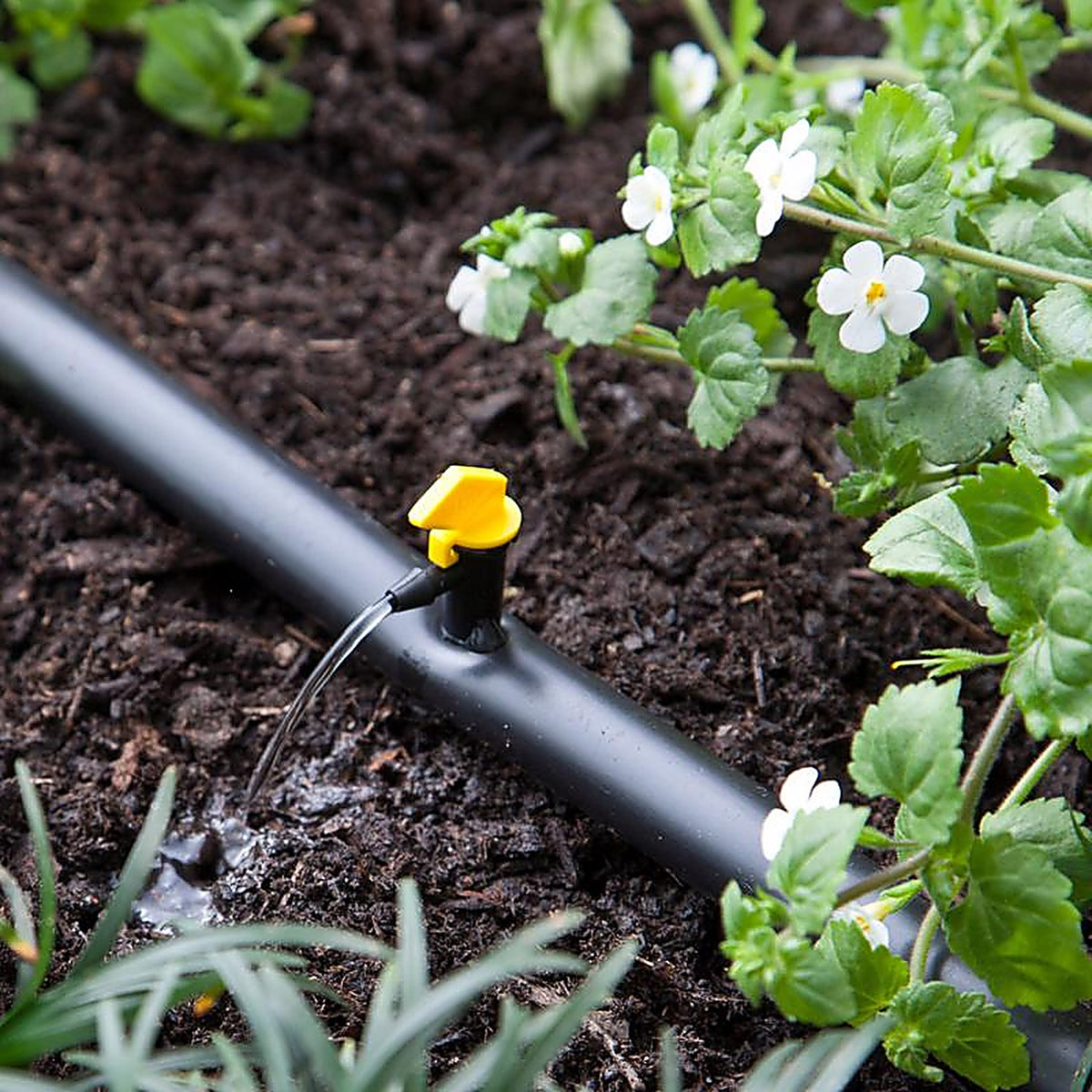 Raindrip - 124025B - Spot Drip Irrigation Dripper 4 gph