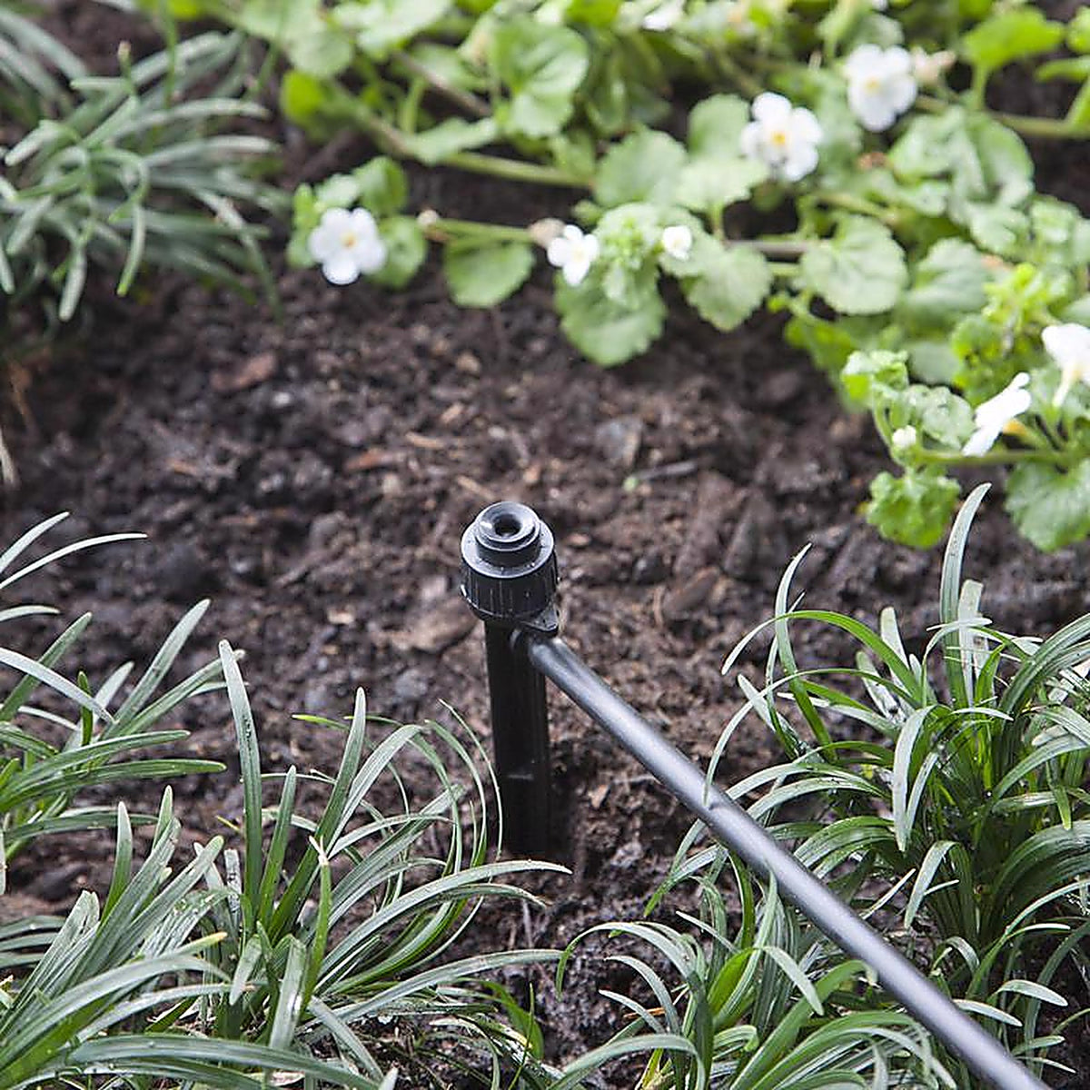 Raindrip - R153CT - Full-Circle Drip Irrigation Bubbler 24 gph