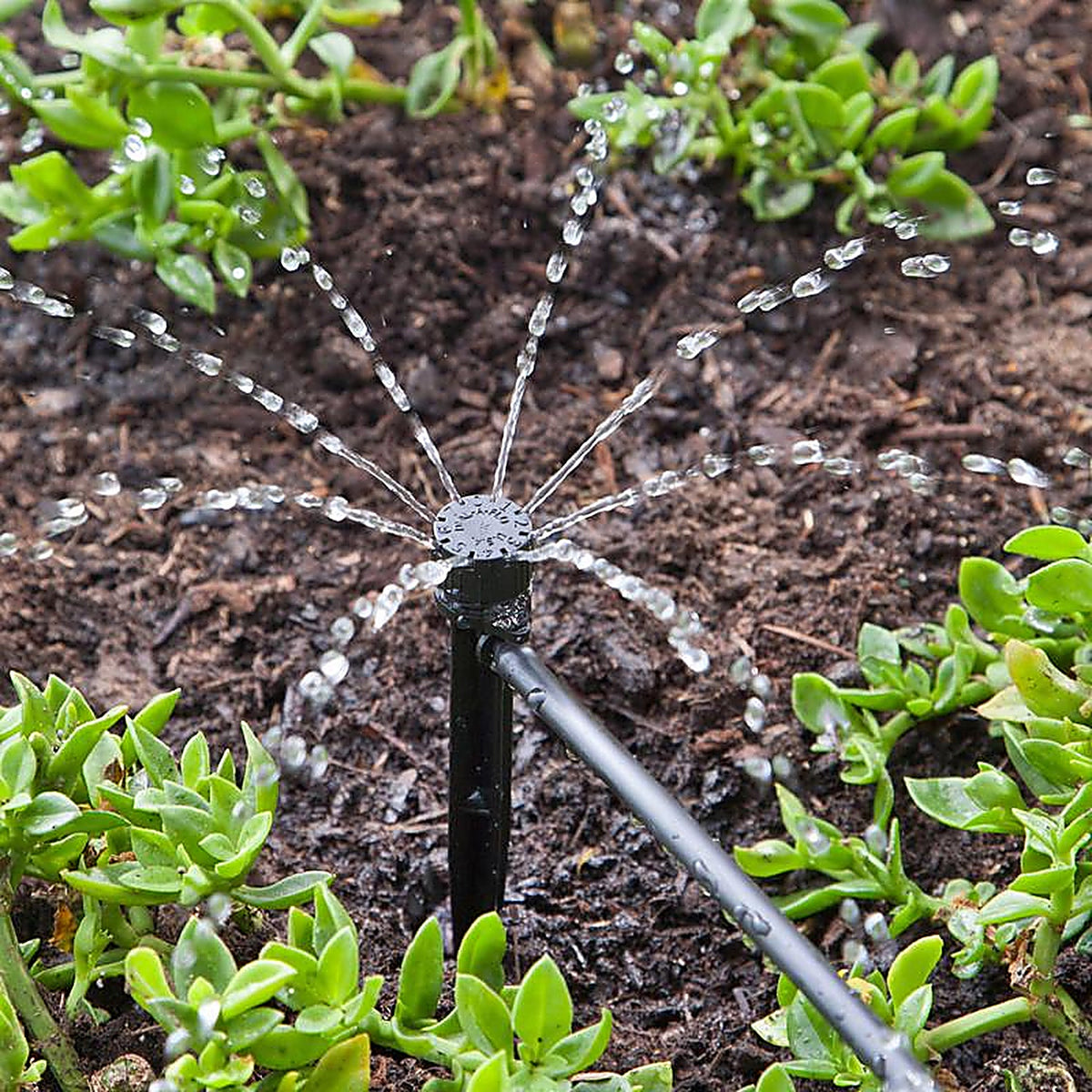 Raindrip - 15600UB - Full-Circle Drip Irrigation Bubbler 13 gph