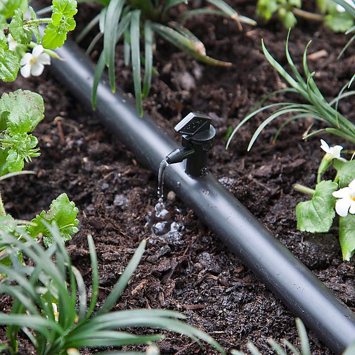 Raindrip - 121010B - Spot Drip Irrigation Dripper 4 gph