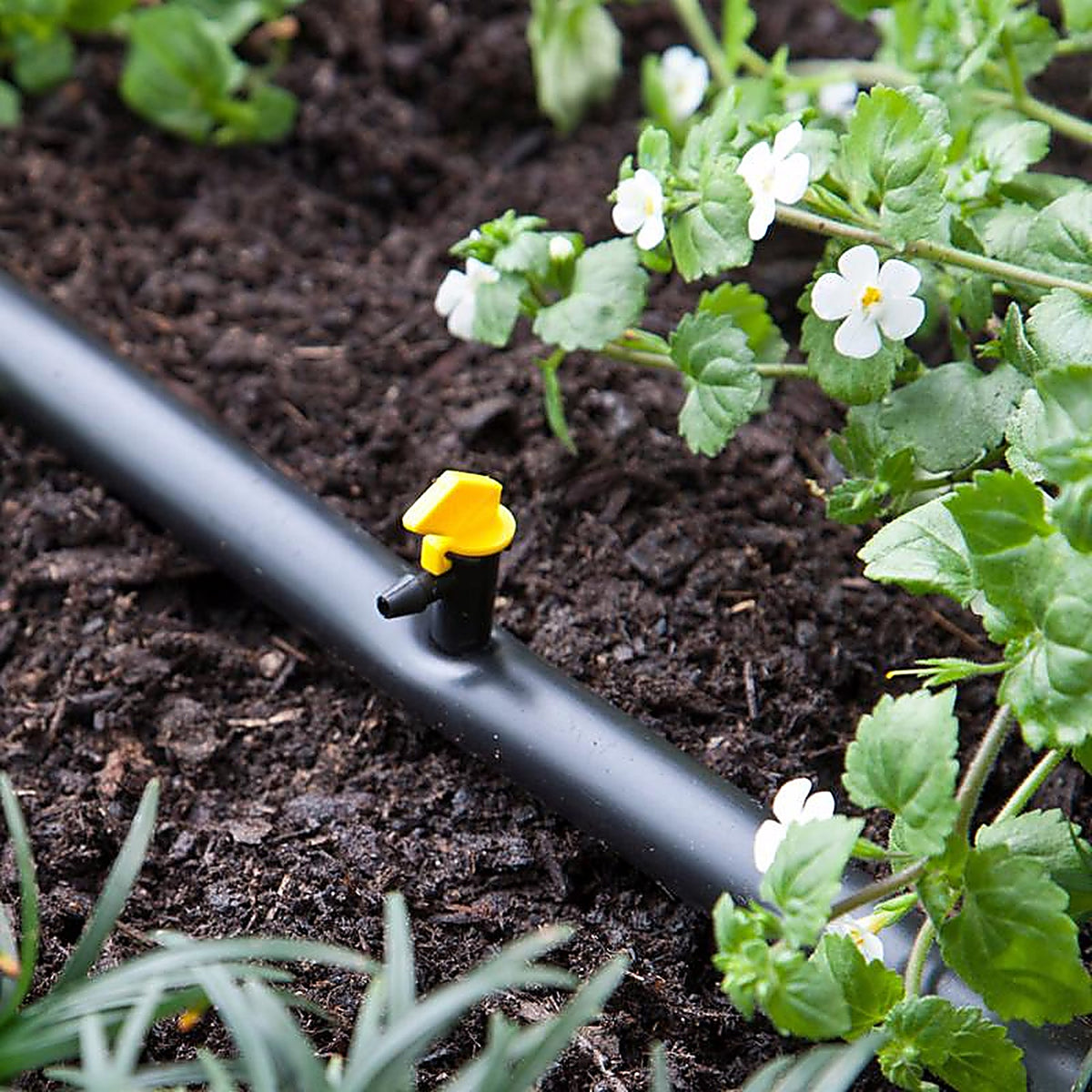 Raindrip - 124010B - Spot Drip Irrigation Dripper 4 gph