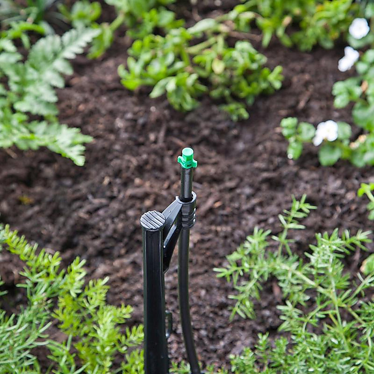 Raindrip - P1025UB - Quarter-Circle Drip Irrigation Sprinkler Head 21.8 gph