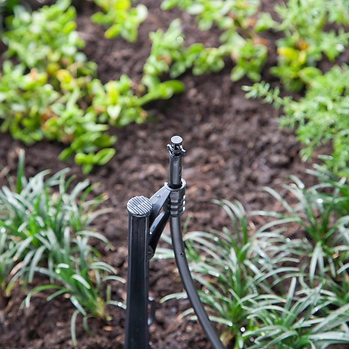 Raindrip - P1050UB - Half-Circle Drip Irrigation Sprinkler Head 28.2 gph