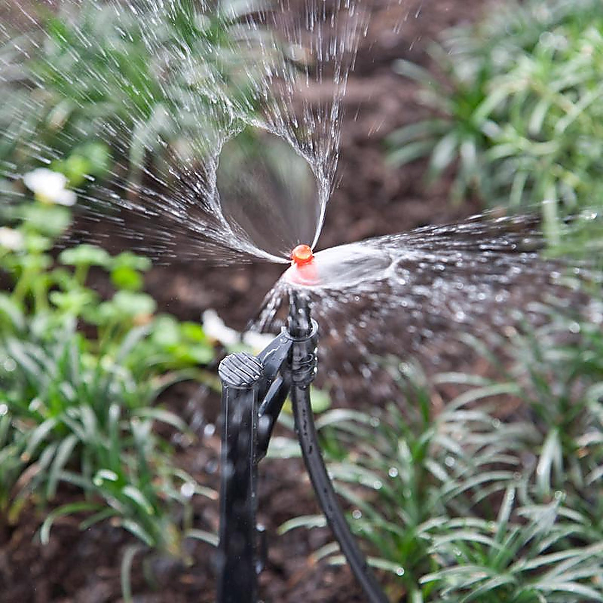 Raindrip - P1075UB - Full-Circle Drip Irrigation Sprinkler Head 31.4 gph