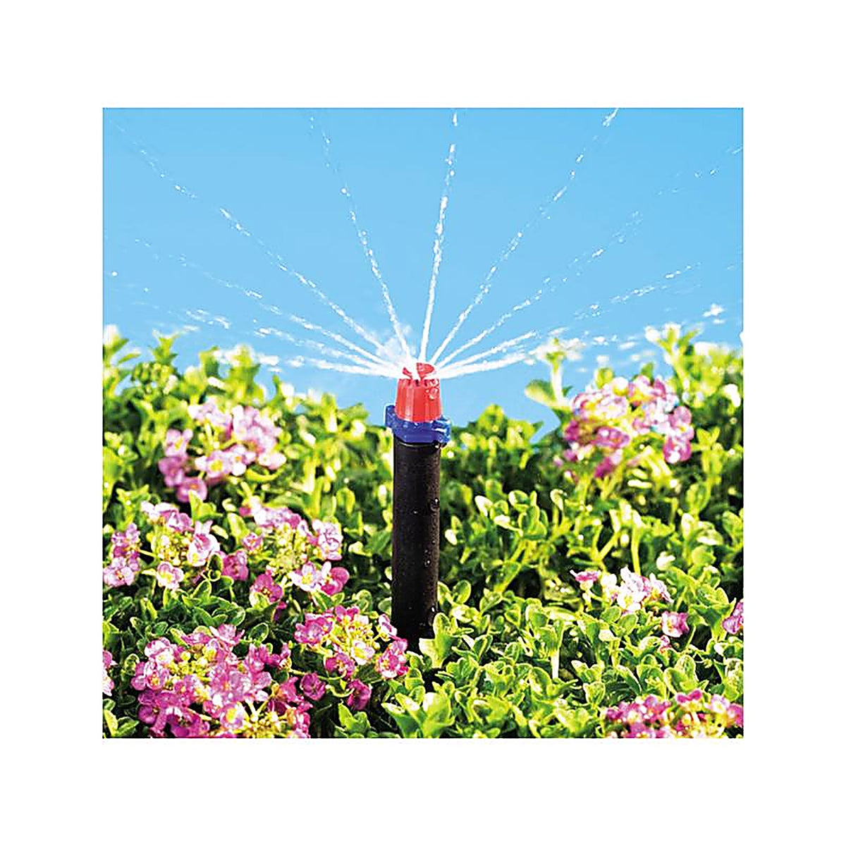 Raindrip - 360JET010B - Full-Circle Drip Irrigation Micro Spray 12 gph