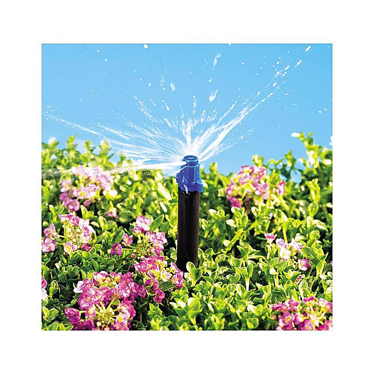 Raindrip - 180JET010B - Half-Circle Drip Irrigation Micro Spray 13 gph