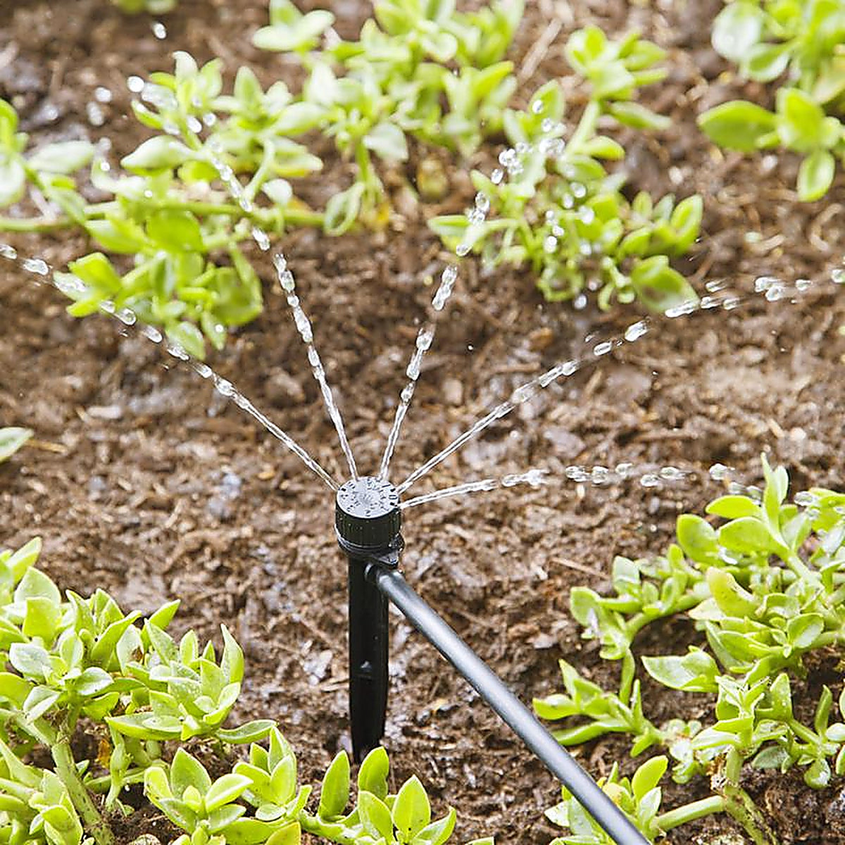 Raindrip - 15500UB - Half-Circle Drip Irrigation Bubbler 20 gph